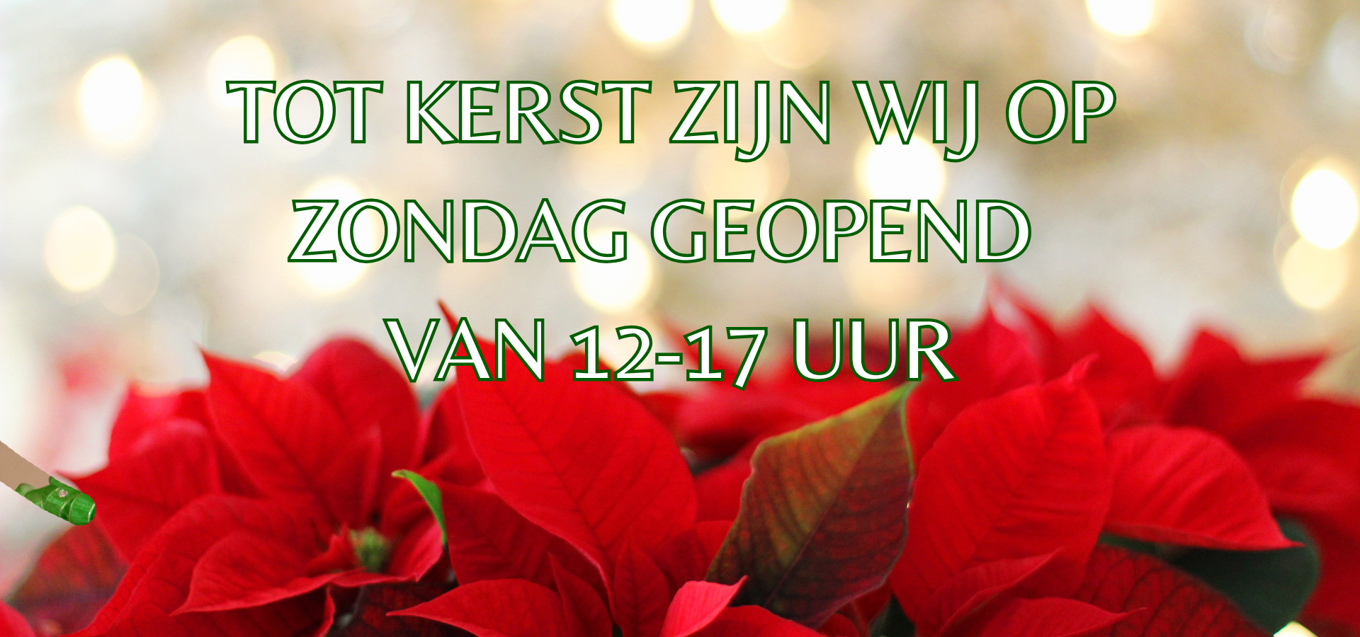 tot kerst zondag open
