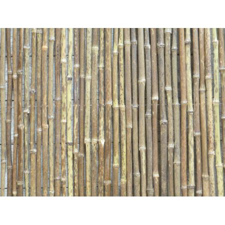 Bamboe donker 100x180