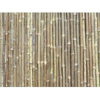 Bamboe donker 100x180