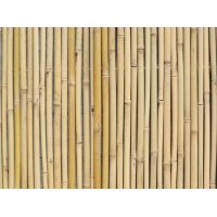 Bamboe op rol 180x180  Nihao18-22mm