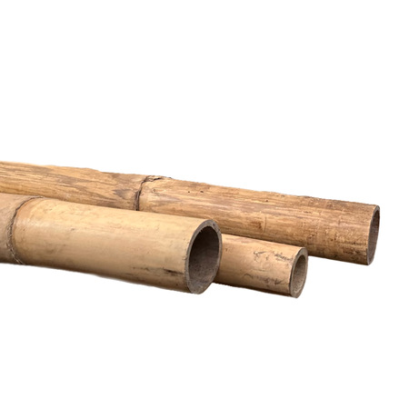 bamboe paal 270 cm / 75