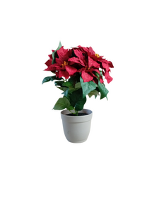 kerstster in pot rood/wit