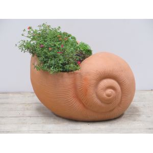 Mini tuin schelp - afbeelding 2