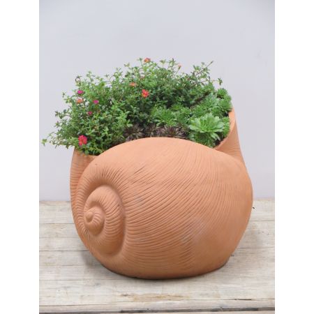 Mini tuin schelp - afbeelding 1