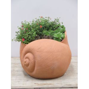 Mini tuin schelp - afbeelding 1