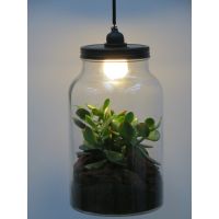 Weckpot terrarium met led licht 17Ø - afbeelding 2